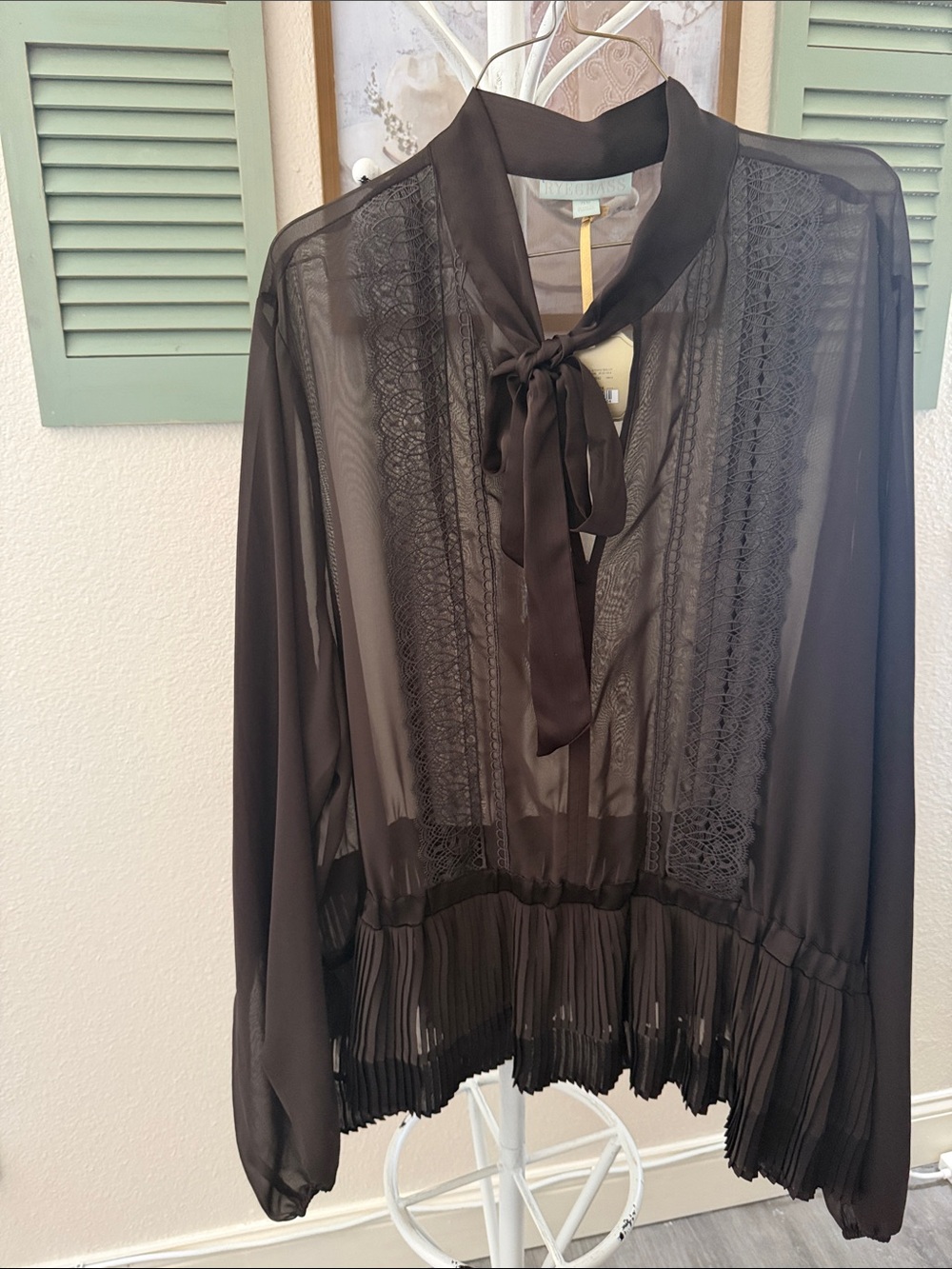 Ryegrass Sheer Brown Tie-Neck Blouse